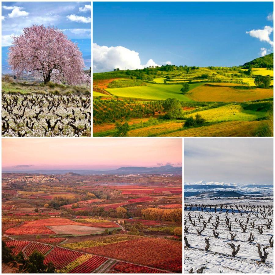 Appartamento Marqués de La Rioja Logroño Esterno foto